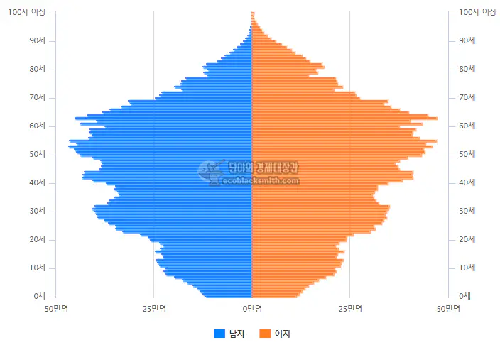 2024년 인구 피라미드 그래프