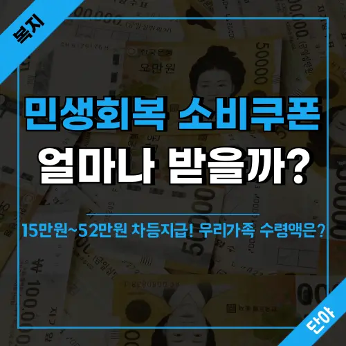 생회복 소비쿠폰 지급액 안내