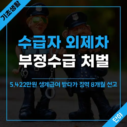 외제차 타고 부정수급한 기초생활수급자 징역 처벌 사례